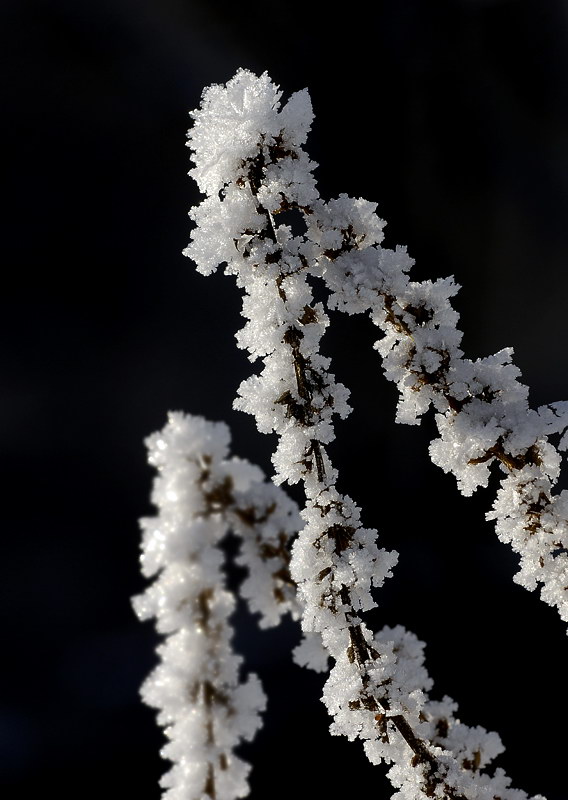 Winter _DDC9024 Kopie.jpg